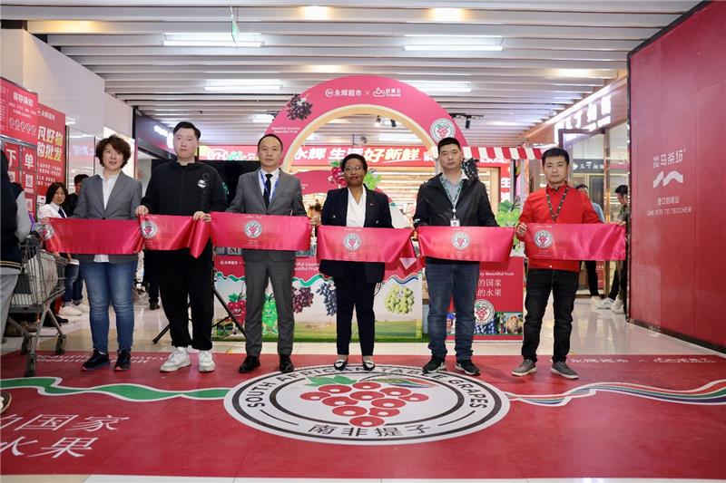 东升国际(中国游)官网 - 首页入口