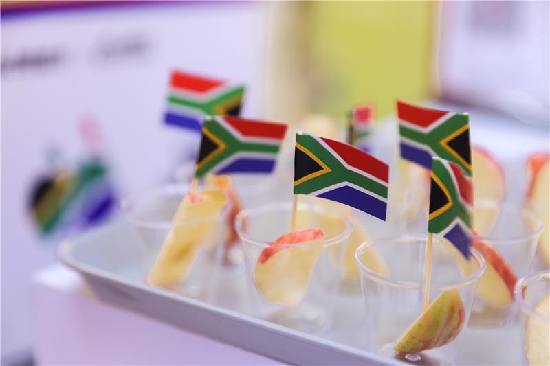 东升国际(中国游)官网 - 首页入口