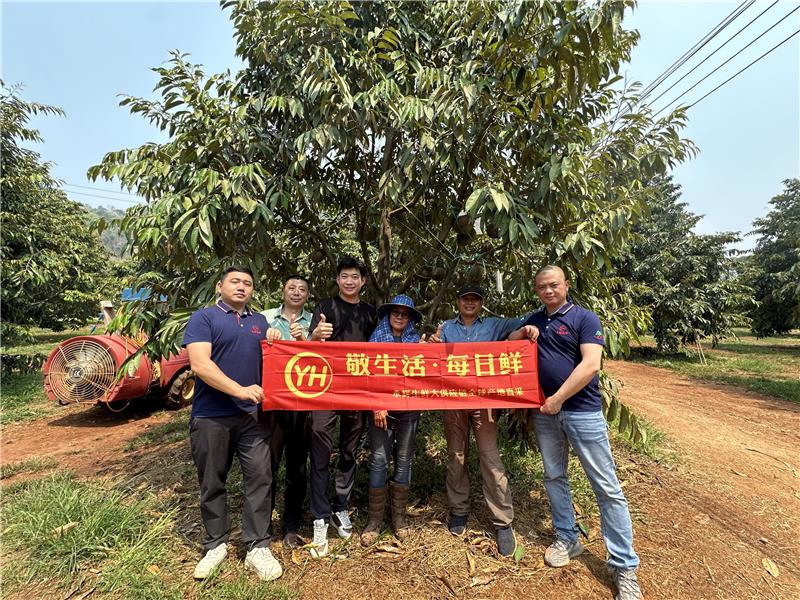 东升国际(中国游)官网 - 首页入口