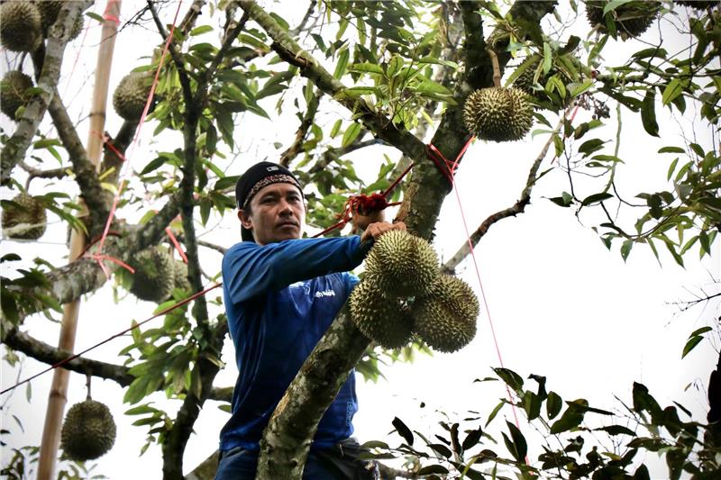 东升国际(中国游)官网 - 首页入口