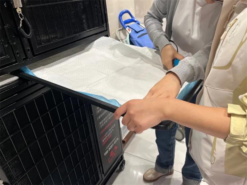 东升国际(中国游)官网 - 首页入口