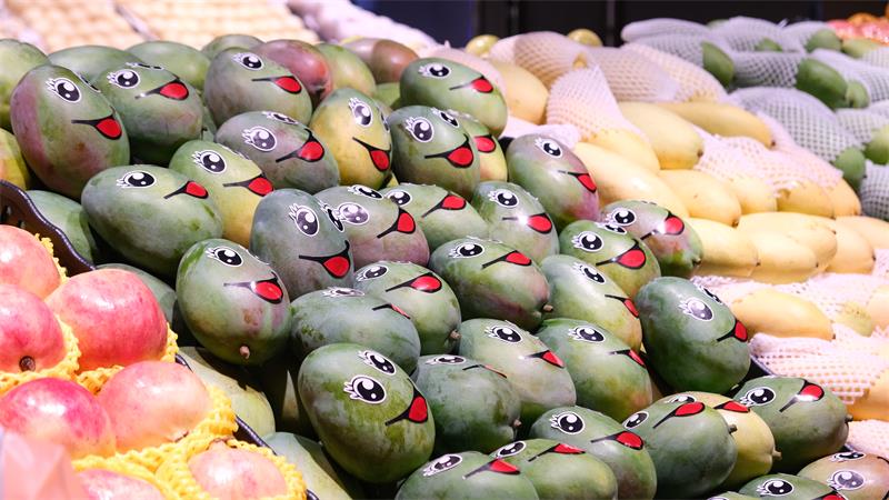 东升国际(中国游)官网 - 首页入口