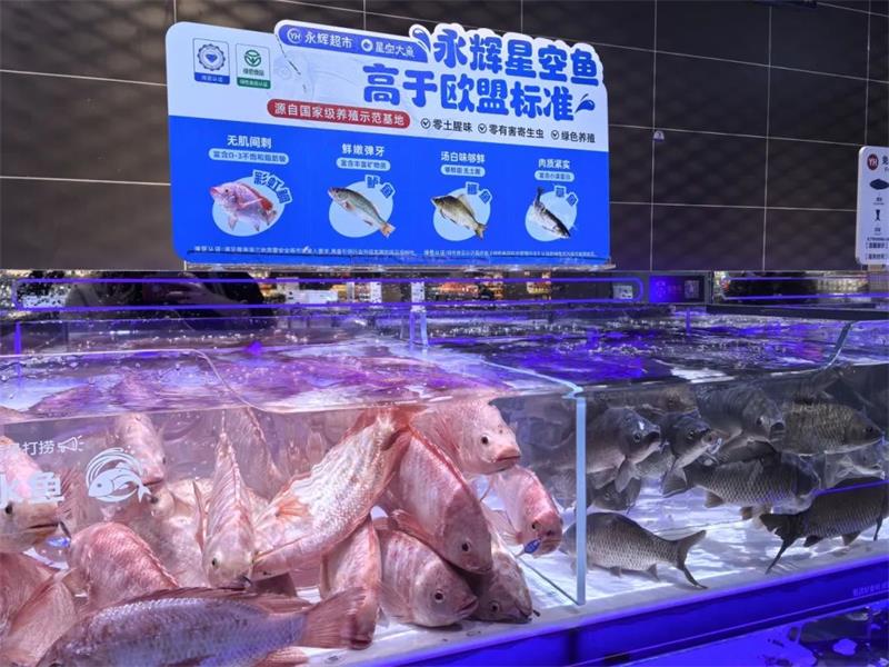 东升国际(中国游)官网 - 首页入口