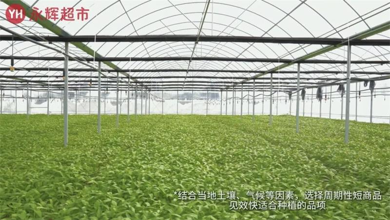 东升国际(中国游)官网 - 首页入口